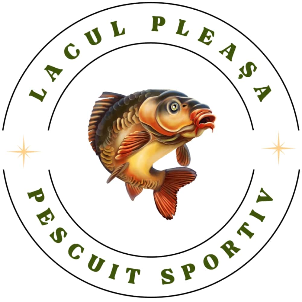 Portofoliu lacul pleasa logo Portofoliu